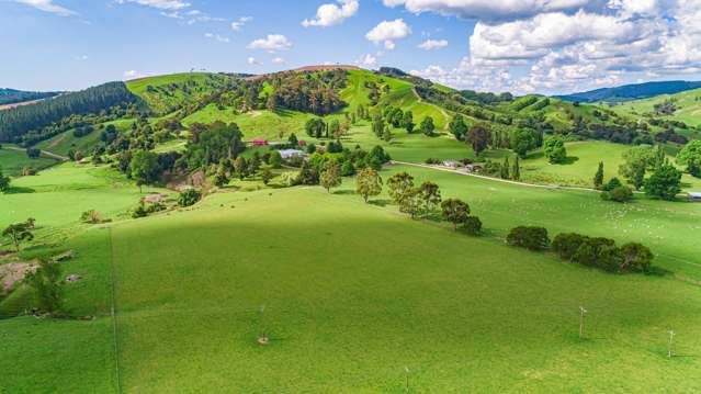 1403 Masterton Castlepoint Road Tauweru_4