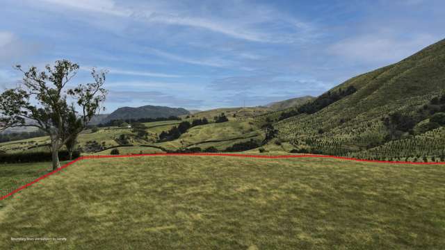 Lot 1 151 Hill Road Te Aroha_2