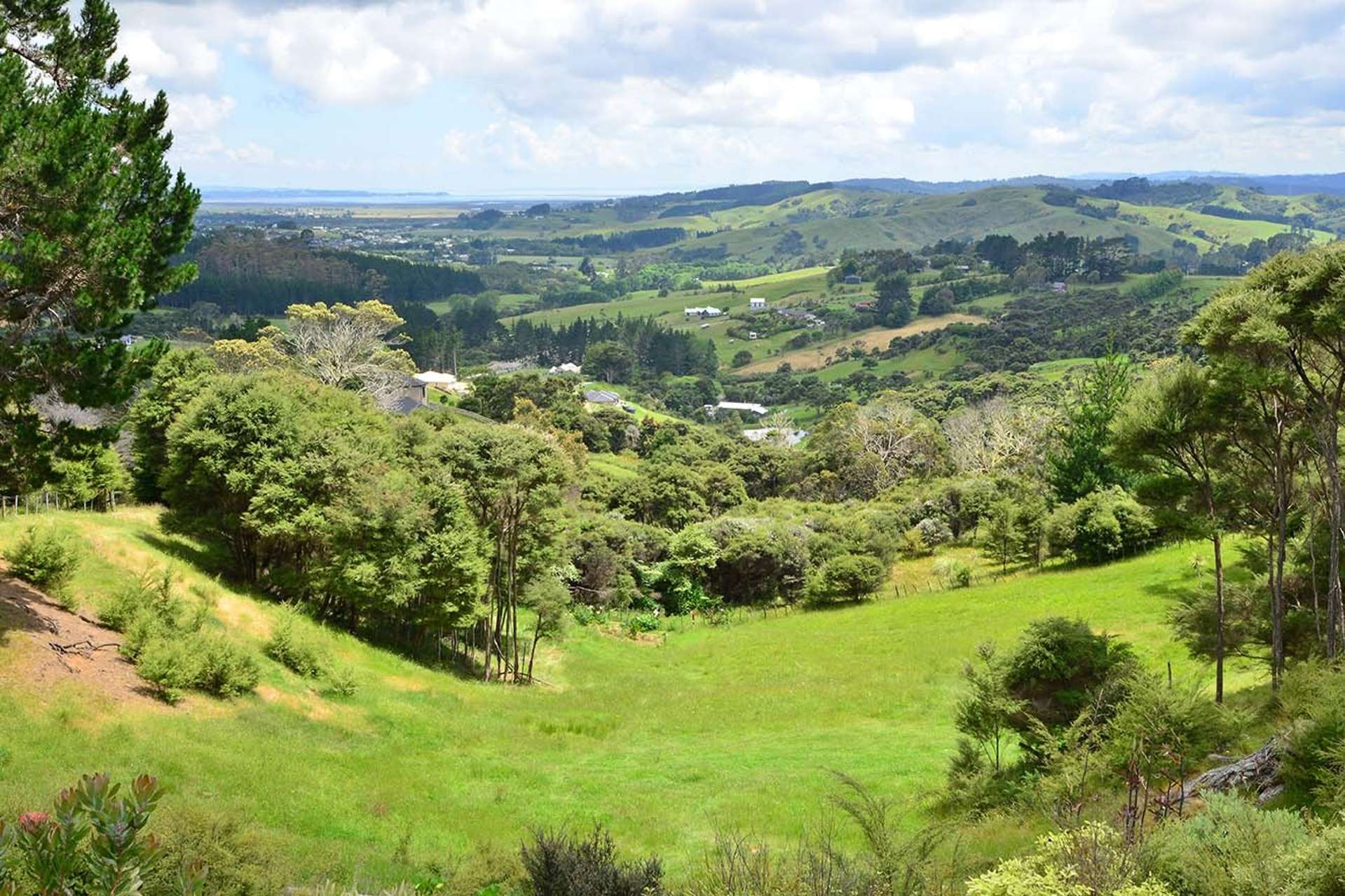 397 Wishart Road Helensville_0