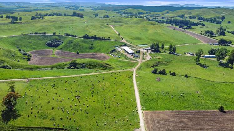 301 Matarawa Road Kinleith_33