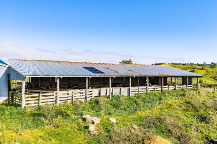 80 Harrison Road Waiotira_13
