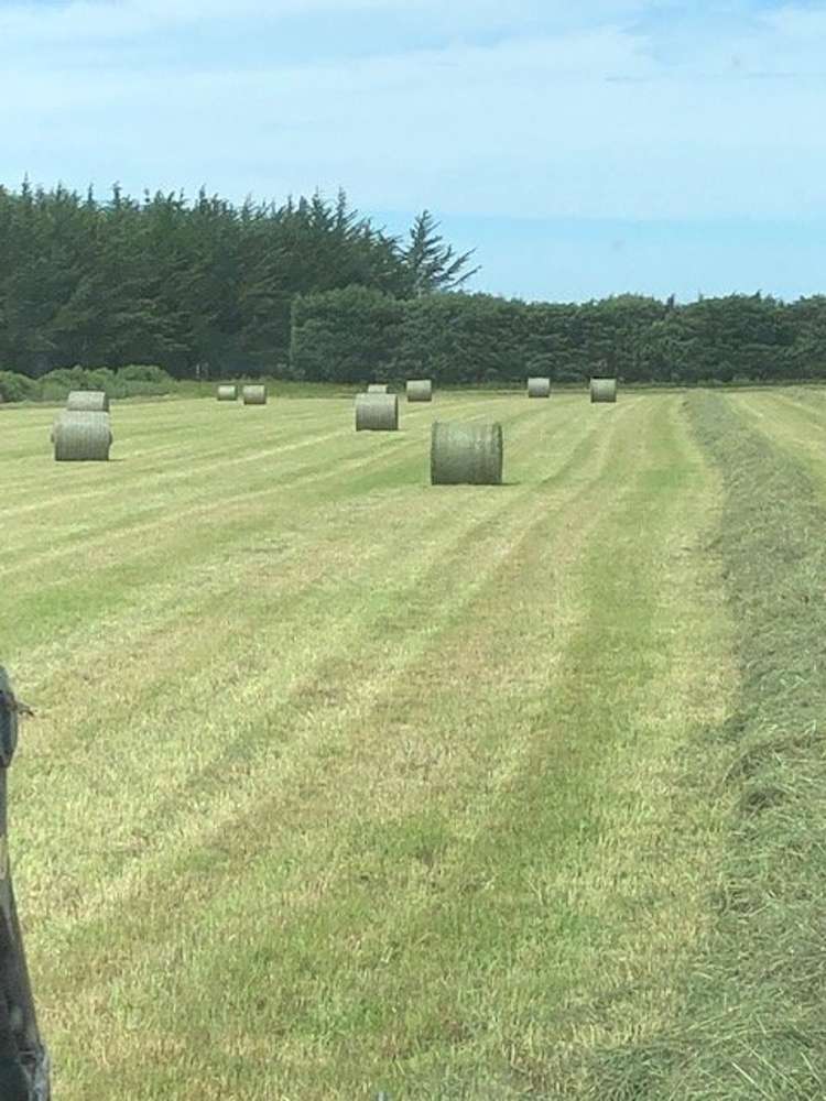 410 Harmans Gorge Road_5