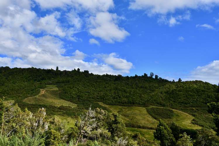 40Ha Block State Highway 67 Mokihinui_9