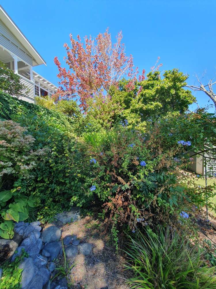 117 Edward Street Thames_41