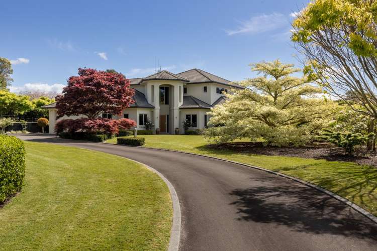 46 Te Karaka Drive Te Puna_8