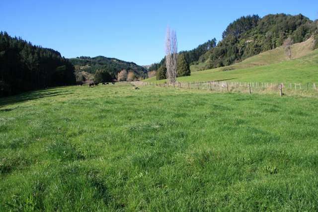 698 Mangaoapa Road Matau_3