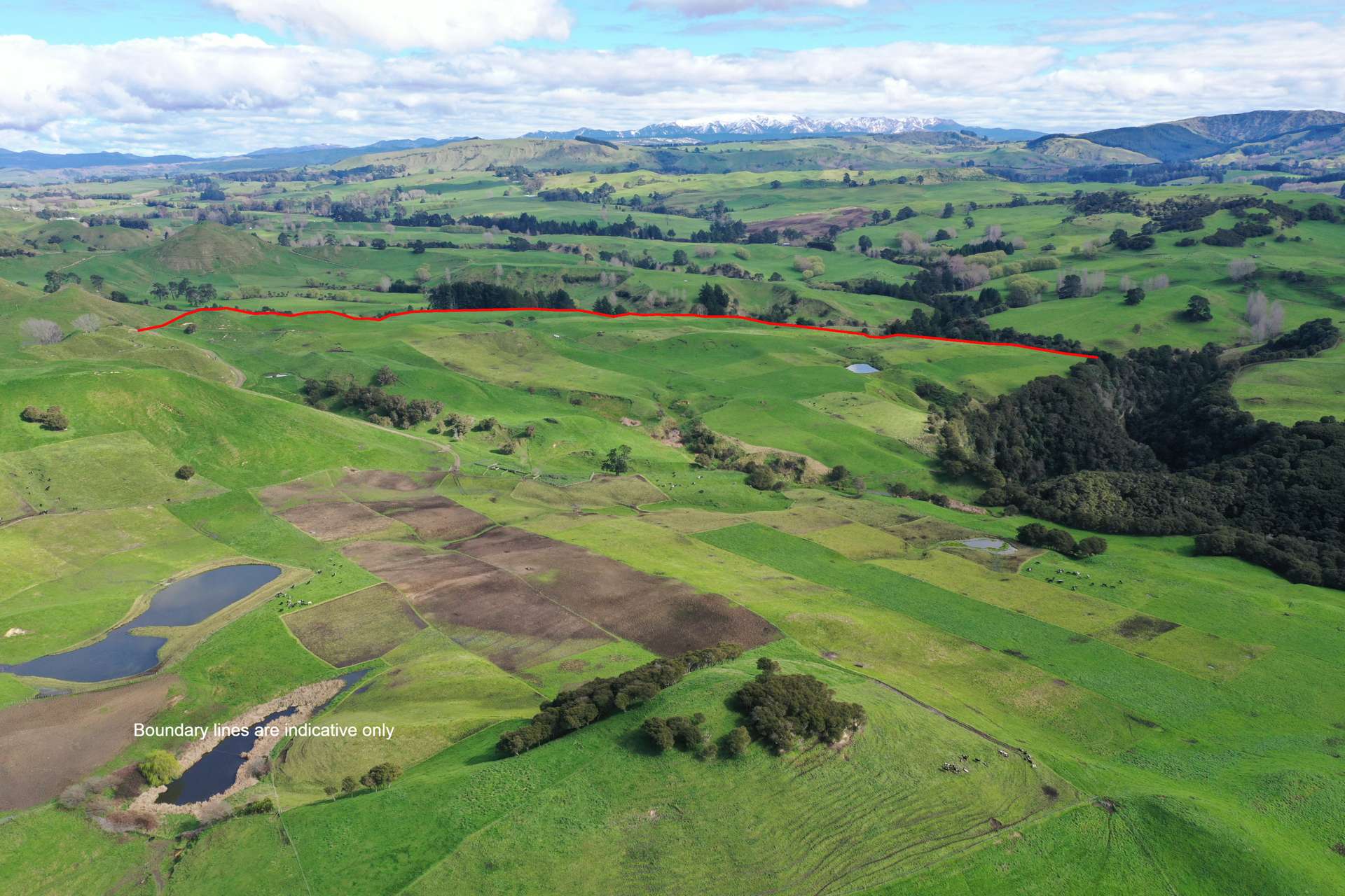 651 Huiarangi Road Hastings Country_0