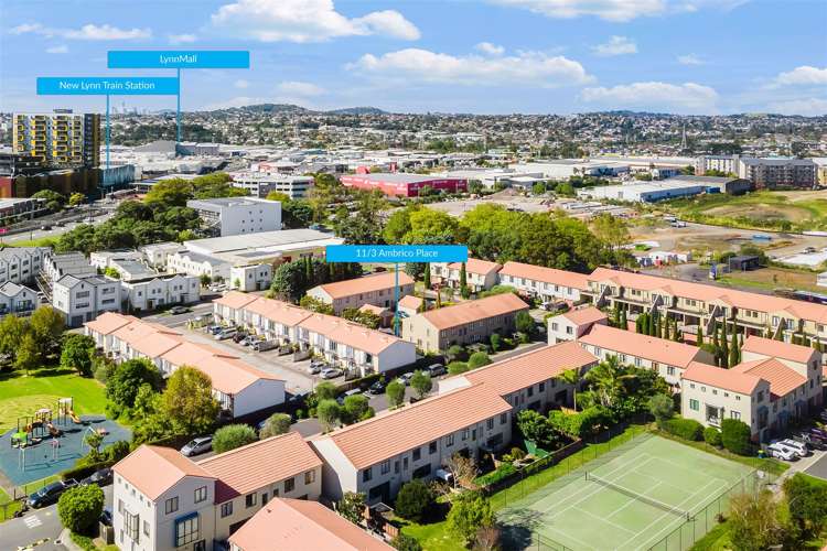 11/3 Ambrico Place New Lynn_24