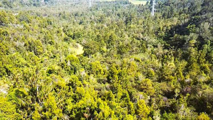 State Highway 67 Waimangaroa_7