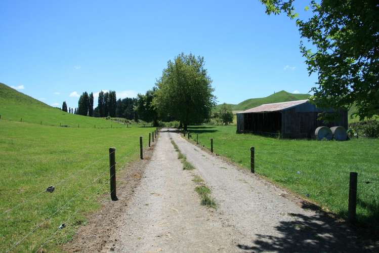 145 Bayly Road Huinga_15