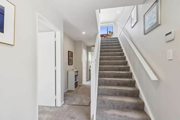 33a Treasure Grove Hataitai_21