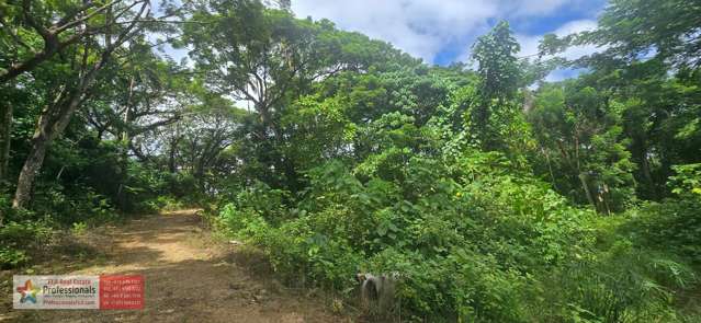 Address withheld Savusavu_4