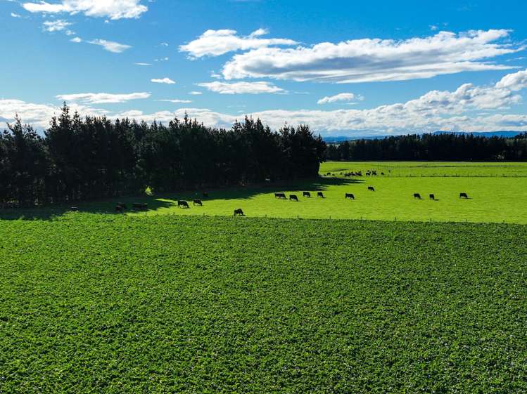 525 Woodlands-Morton Mains Road Morton Mains_11