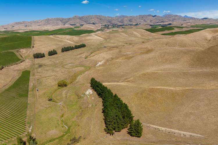 167 Marama Road Seddon_16