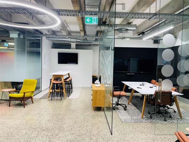 3 Vernon Street Freemans Bay_2