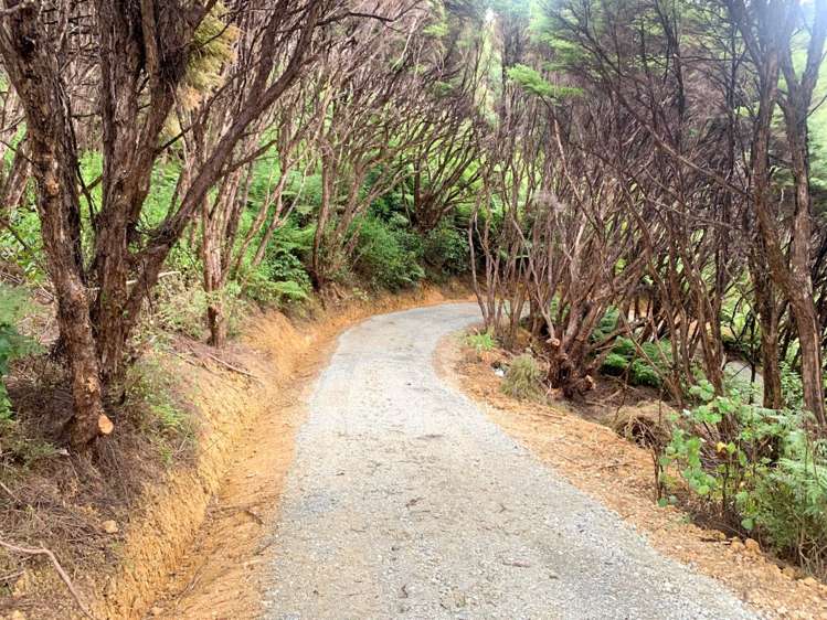 624 Blind Bay Road Great Barrier Island_5