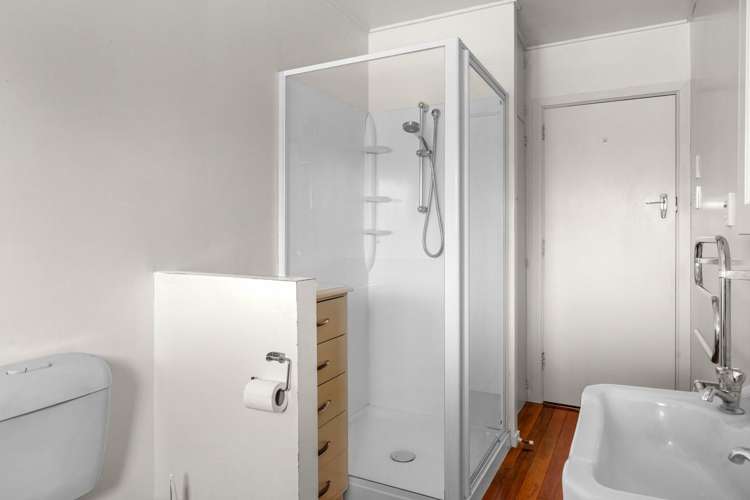 49b Brandon Street Alexandra_9