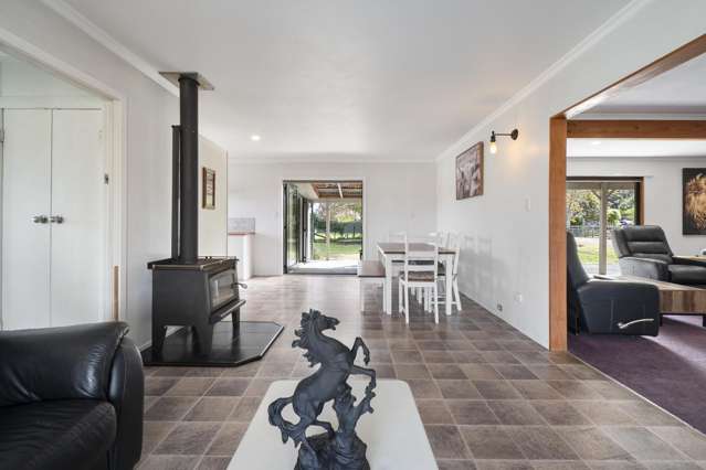 363 Brandon Hall Road Bulls_1