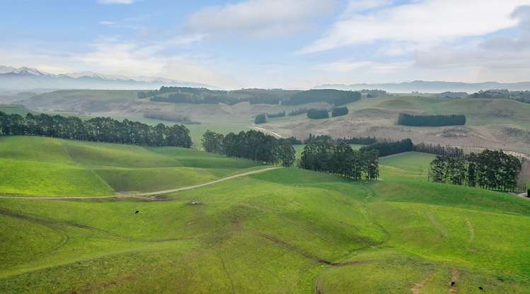 89 Brookstead Road Ngapara_18