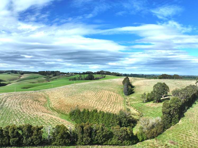 174 McCulloch Road Awamangu_32