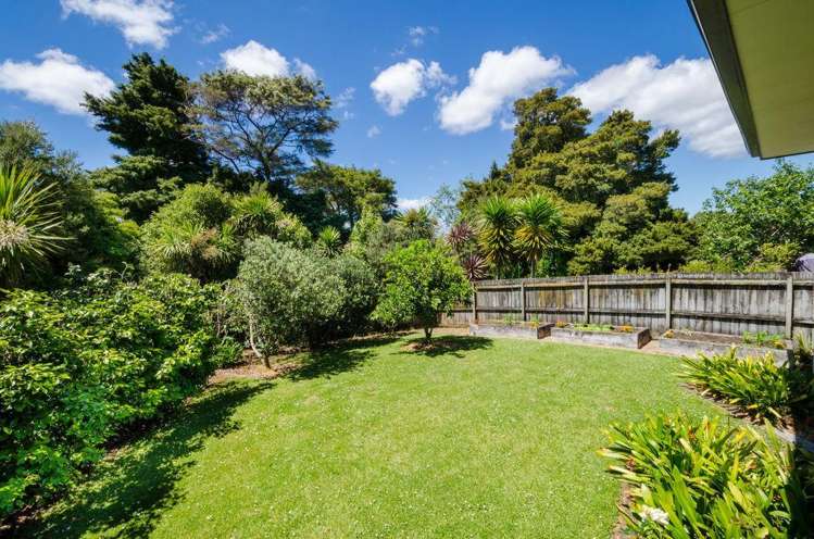 51 Millstream Drive Henderson_16