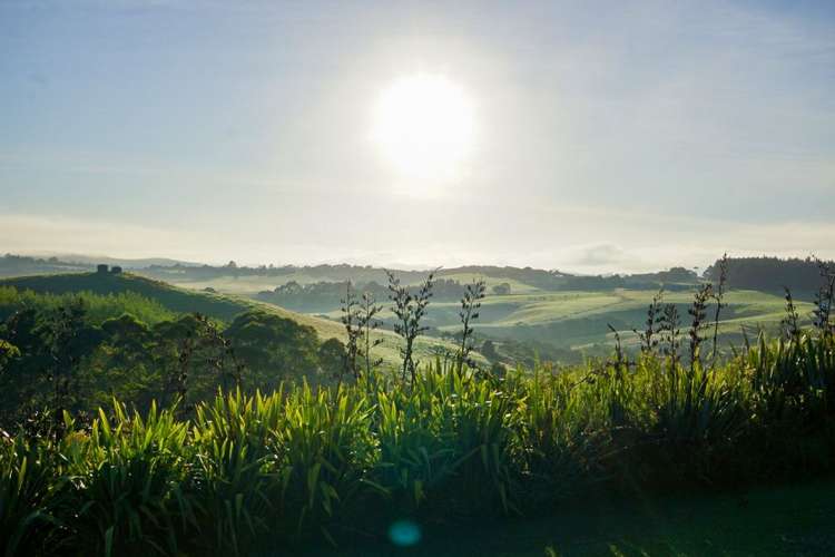 785d Purerua Road Kerikeri Surrounds_8