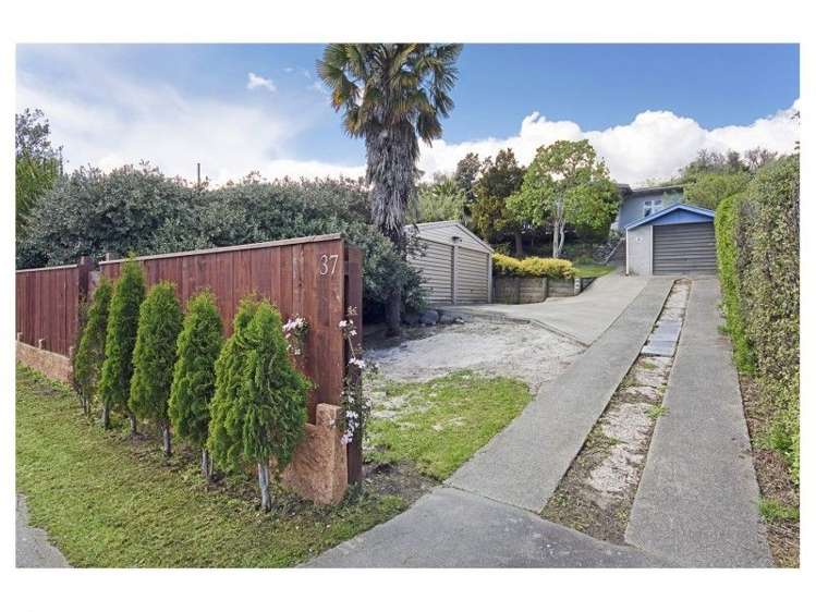 37 Emano Street Toi Toi_18