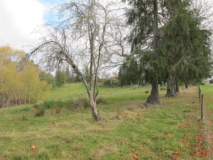 182 Downs Road Geraldine_31