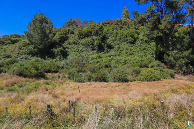 334 State Highway 7 Ikamatua_48