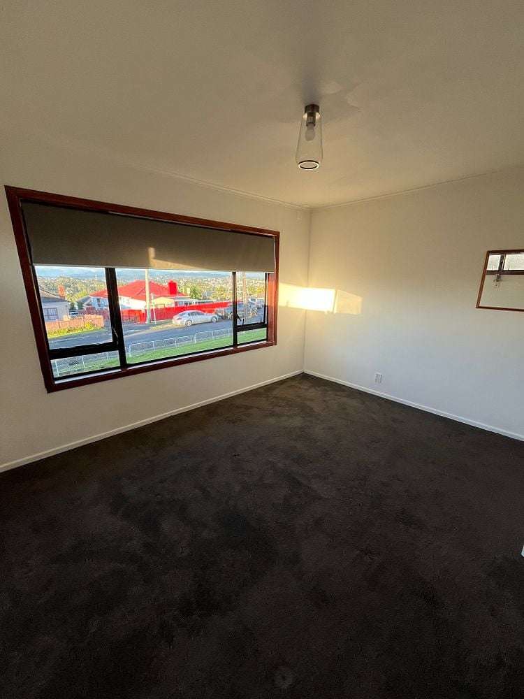 6 Freer Street Mount Roskill_11