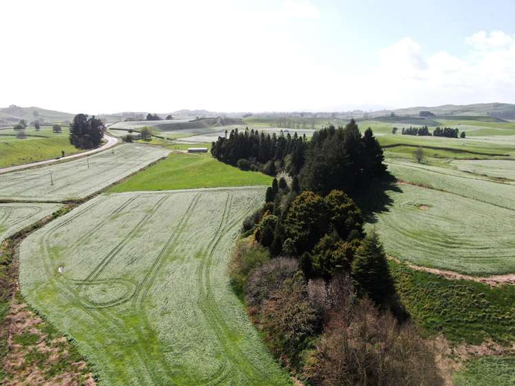1375 State Highway 3 Otorohanga_11