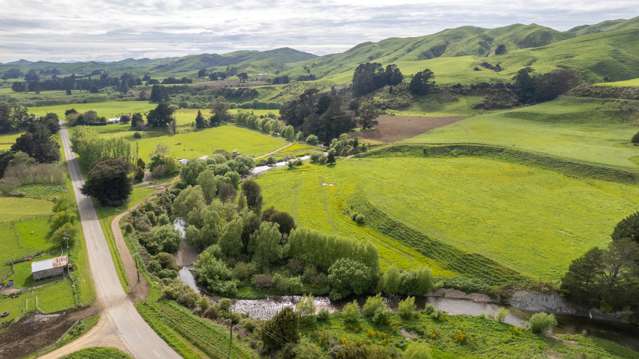 51 Falkner Road Eketahuna_3