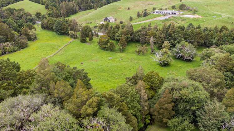 1807 Diggers Valley Road Kaitaia_7