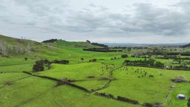 250 Puriri Valley Road_1