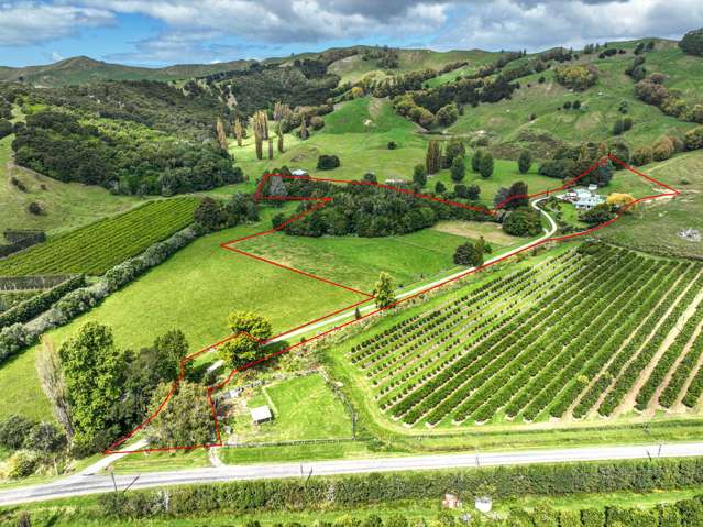 559 Taurau Valley Road Manutuke_1