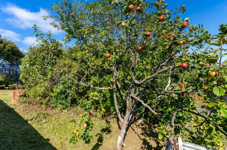 35 Panmure Avenue Calton Hill_17