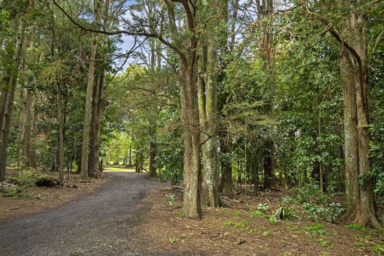 8 Roose Avenue Pukekohe_15