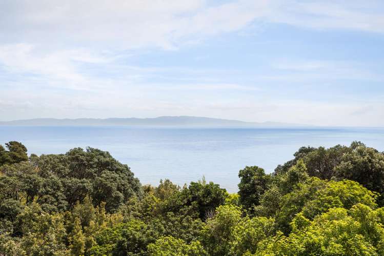 10 Adams Road Thames-coromandel_1