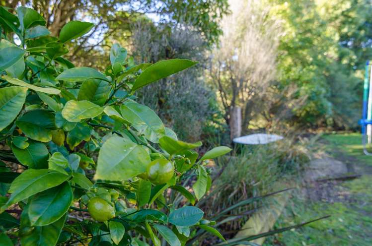 14 Kiriwhakapapa Road Kiriwhakapapa_19