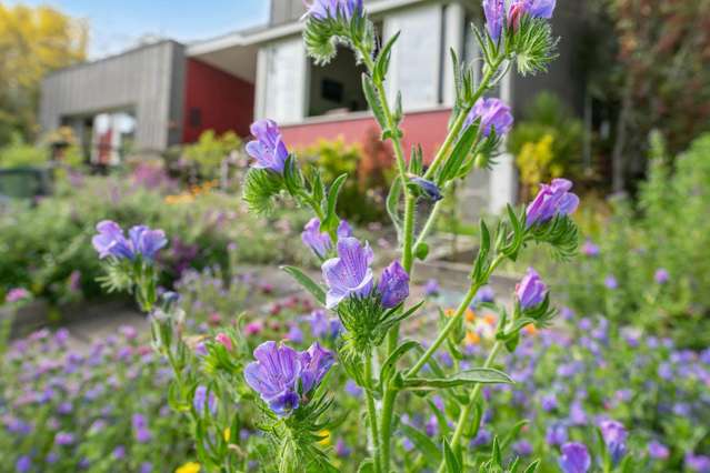 56a Kaipara Coast Highway Helensville_4