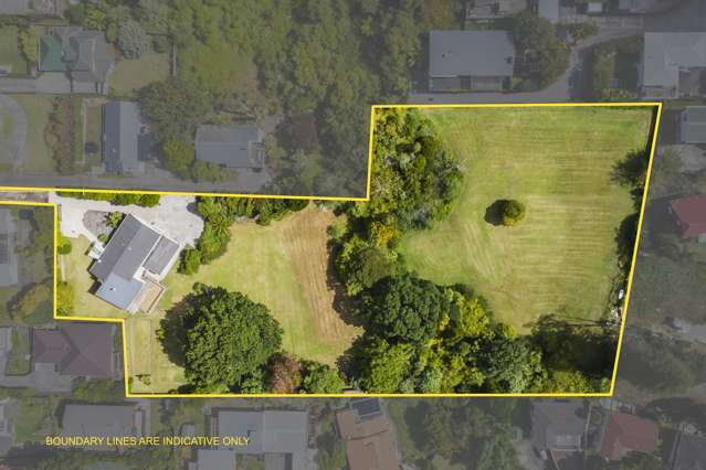 171b Titirangi Road New Lynn_1