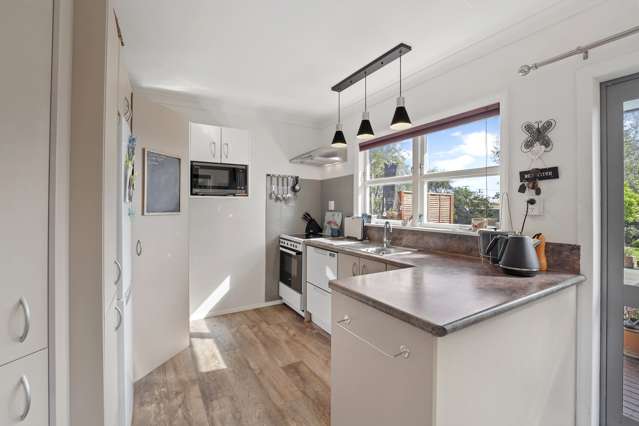 3 Cobham Street Levin_2