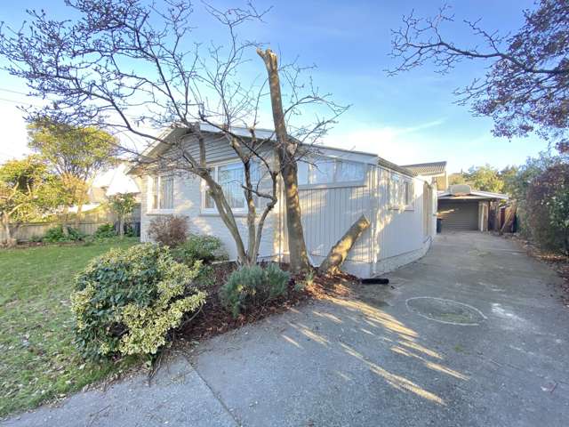 47 Greenpark Street Hoon Hay_3