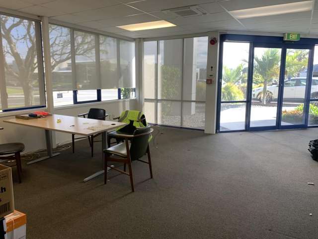 33a william pickering drive Rosedale_4