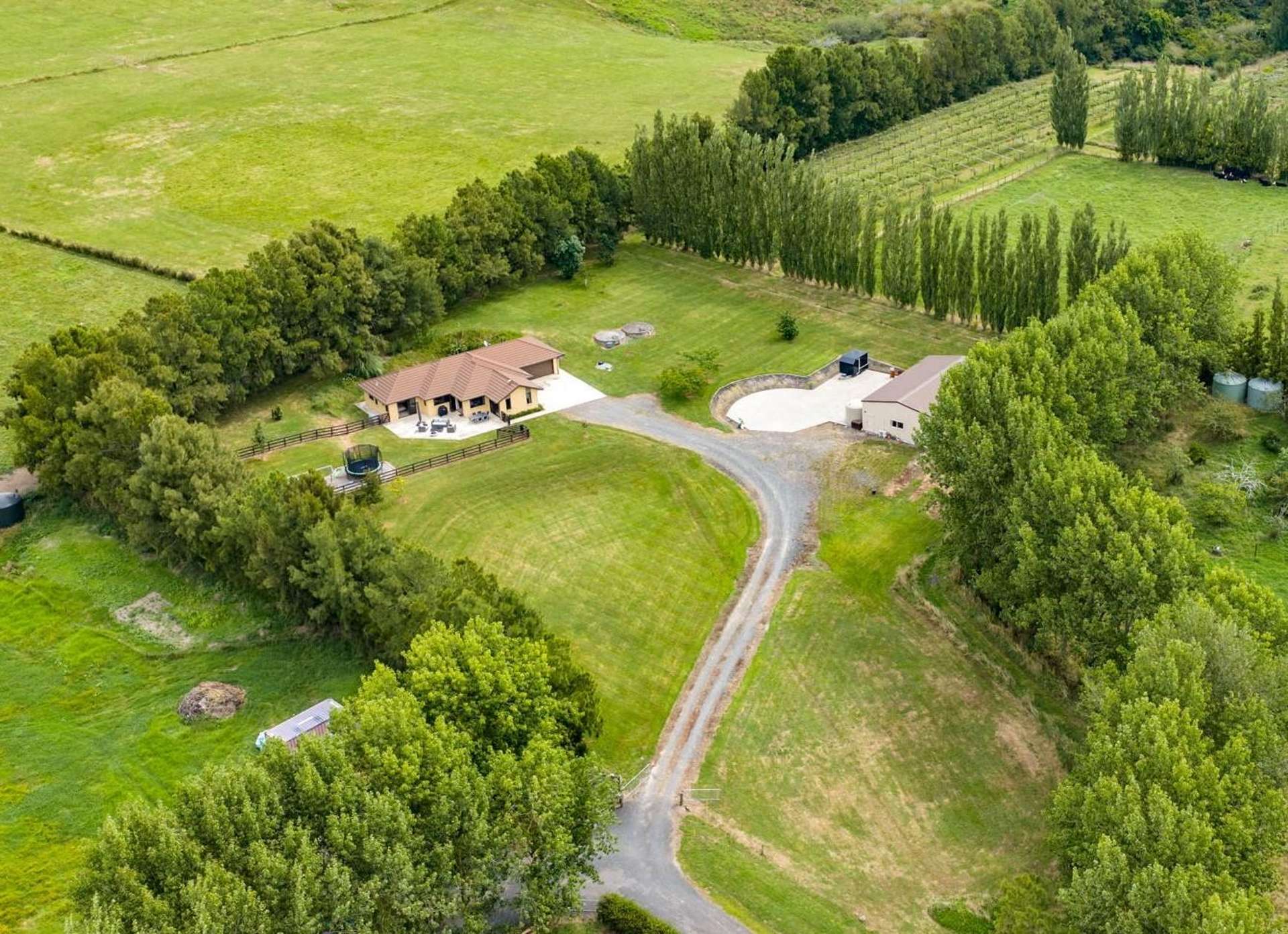 680H Quine Road Morrinsville_0