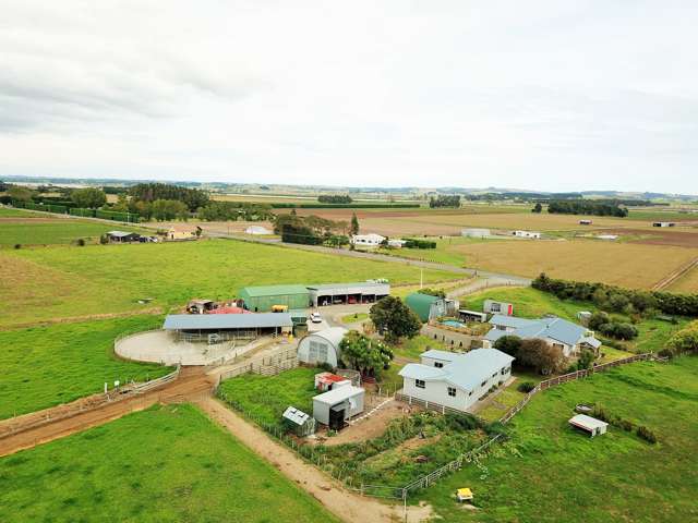 6528 State Highway 12 Dargaville Surrounds_3