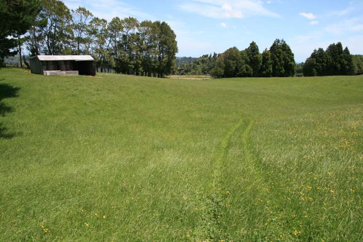 1099 Mataro Road Urenui_5