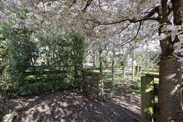 23 Woodlands South Road Woodlands_37