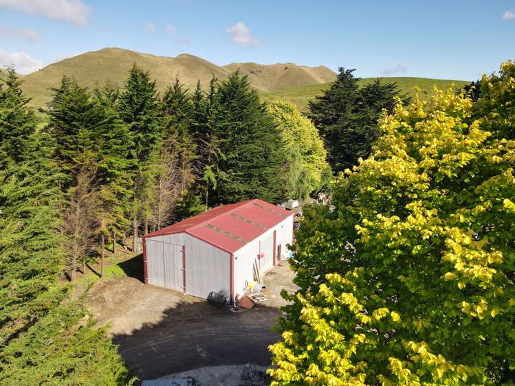 685 Waitahora Road Dannevirke_17