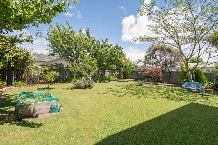 22 Kaka Street Stoke_21
